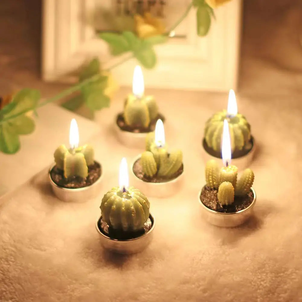 Cactus Scented Candles