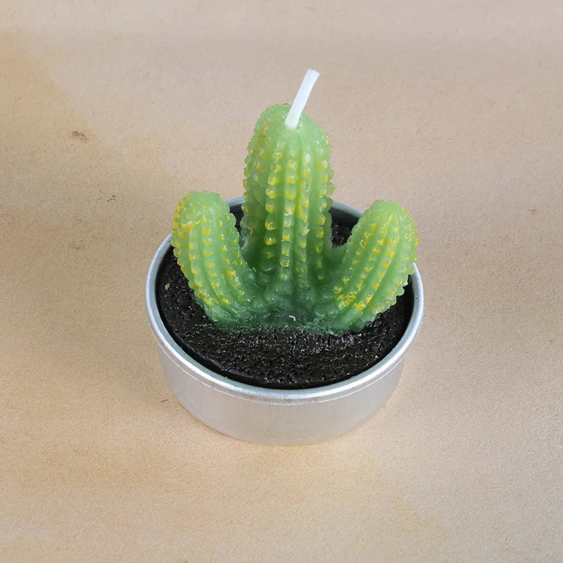 Cactus Scented Candles