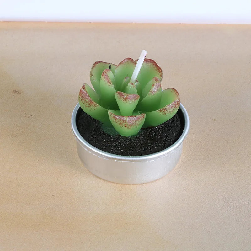 Cactus Scented Candles